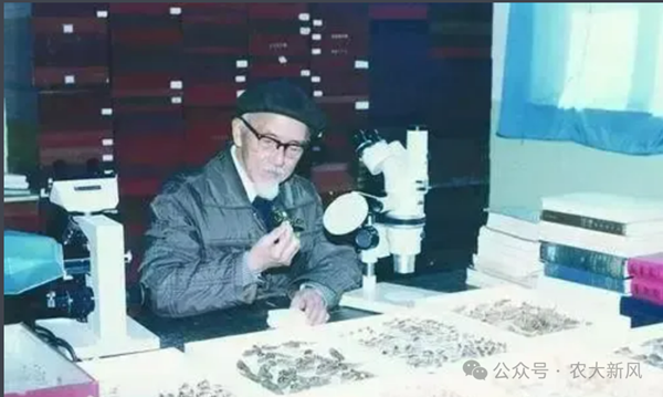 图片1_副本.png