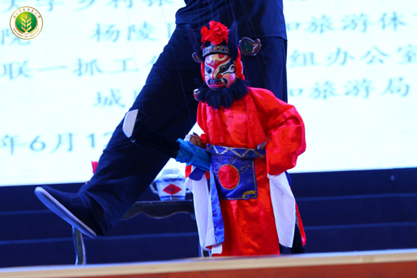图片8_副本.png