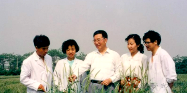 图片1_副本.png