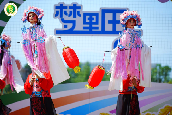 图片4_副本.png