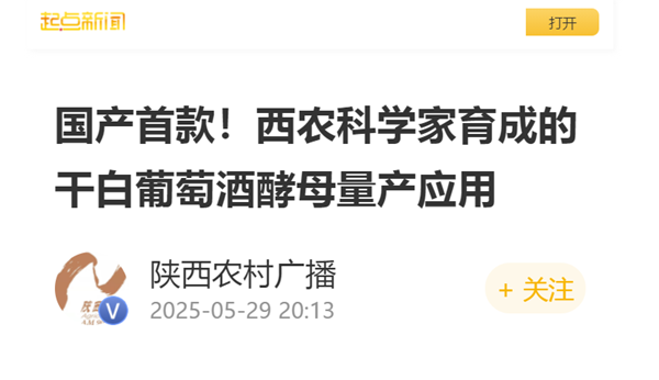 起点新闻 2025.6.1.png