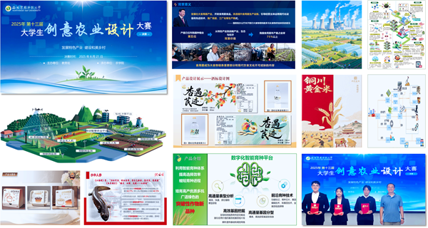 图片_副本.png
