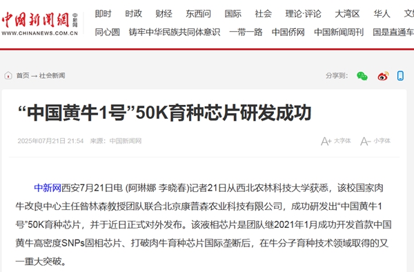 未命名_副本.jpg