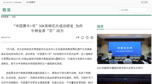 中国日报.png