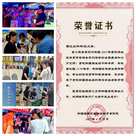 拼图_副本.jpg