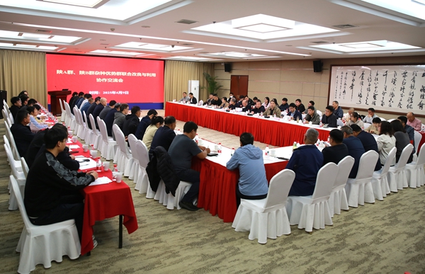 2025年4月，一年一度的陕A群、陕B群杂种优势利用联合改良与利用协作交流会在杨凌召开_副本.jpg