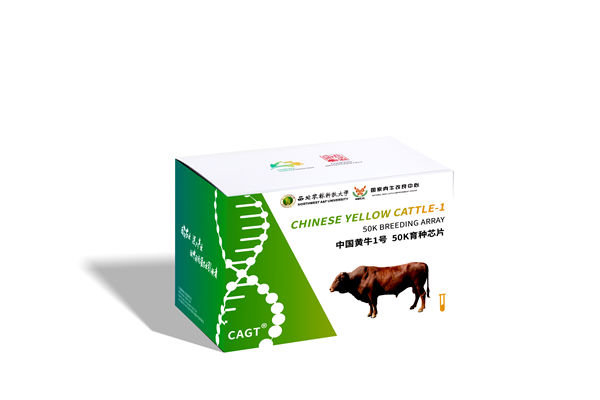 7997697ad5496615a1e35aaaa35161d1_副本.png
