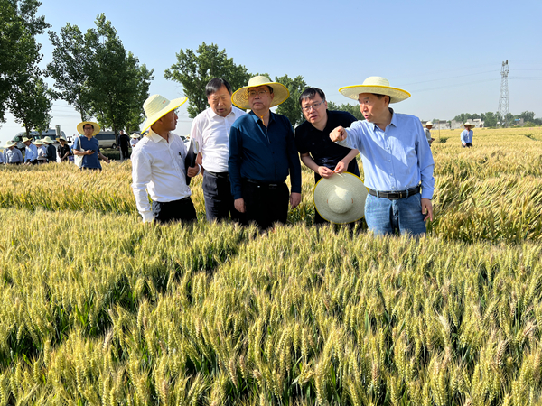 康振生院士（<span class=