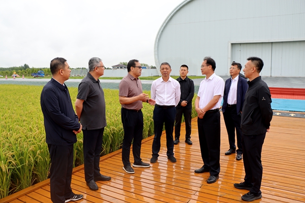 黄思光一行在佳木斯(建三江)农高区实地考察现代农业_副本.jpg