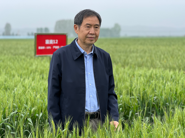 康振生院士在襄阳小麦条锈病灾变机制与可持续防控技术研究项目总结会暨小麦条锈病防控现场会_副本.png