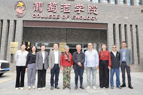图片1_副本.png