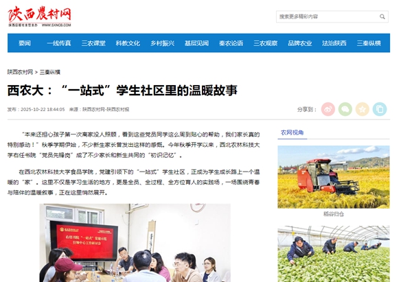 陕西农村网20251022.jpg