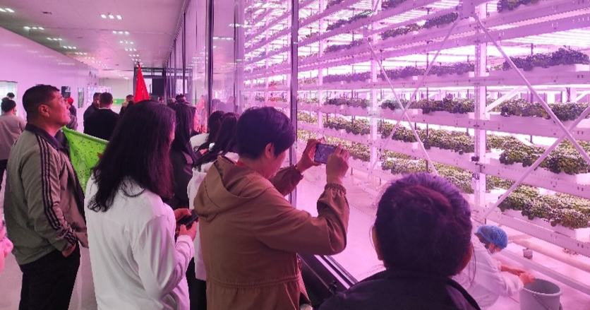 群众参观植物工厂.jpg