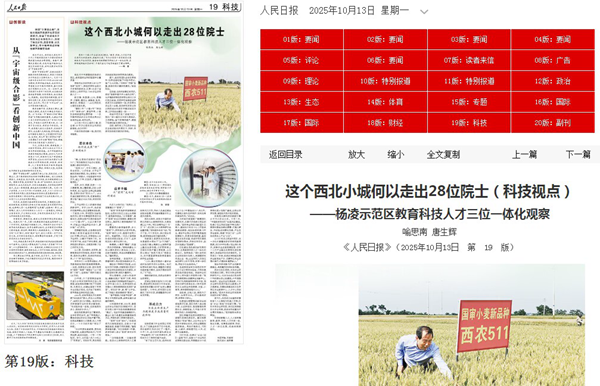 人民日报20.png