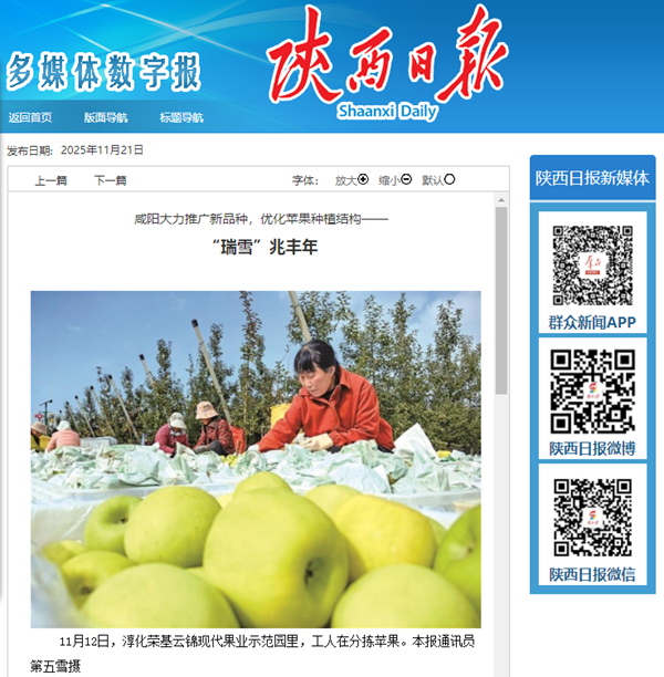 陕西日报_副本.jpg
