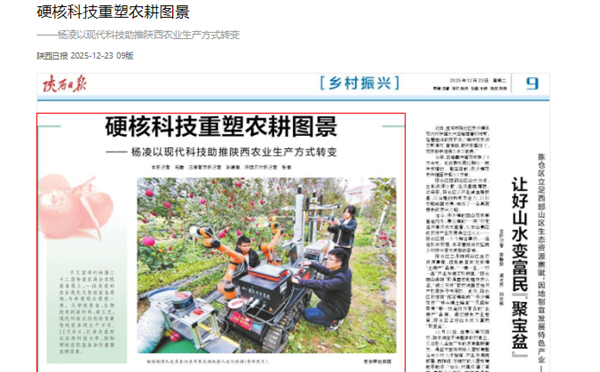 陕西日报12.23.png