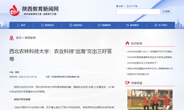 陕西教育新闻网.jpg