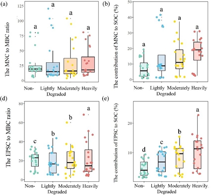 图1 在不同草地退化阶段微生物残体与微生物生物量碳的比值（a，d）及其对土壤有机碳的贡献（b，e）_副本.jpg