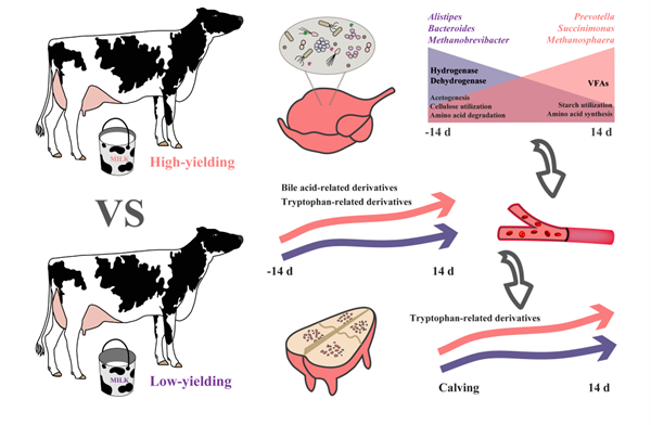 西北农林科技大学新闻网