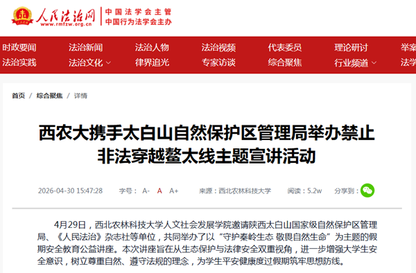 人民法治网.png