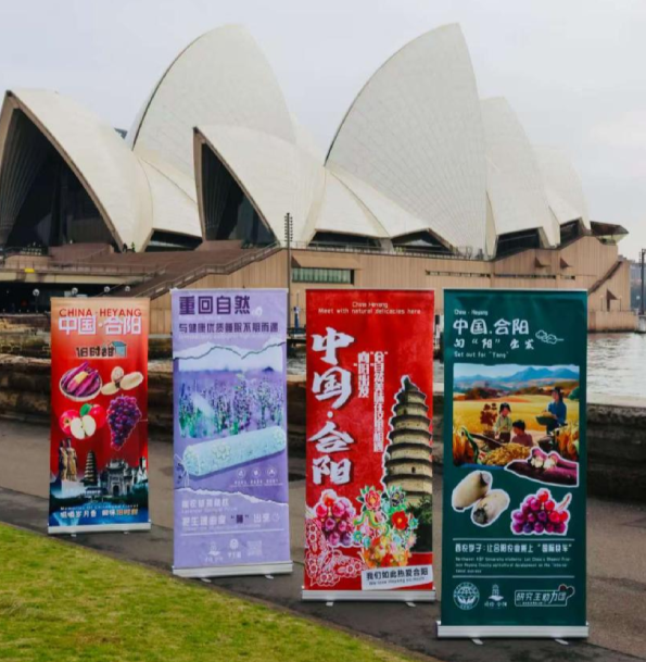 在黄泽请的努力下，合阳特产走进悉尼 (1).png