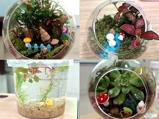 作品展示_副本.jpg