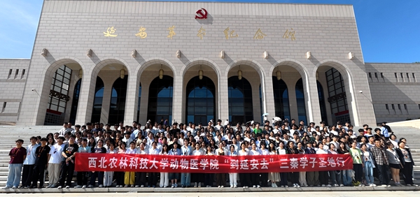 微信图片_20260601174531_367_36_副本.jpg