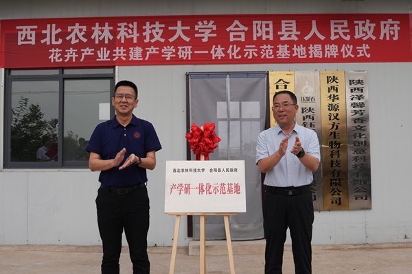 副校长刘天军与合阳县副县长许涛为“花卉产业共建产学研一体化示范基地”揭牌_副本.jpg
