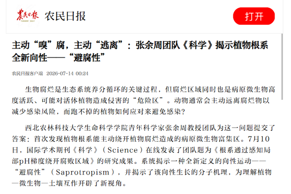 1666da667e0bc2a3b98112e465c5f241_副本.png