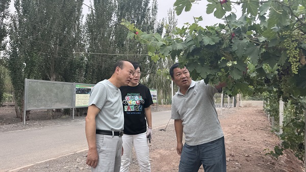 微信图片_20260731173609.jpg