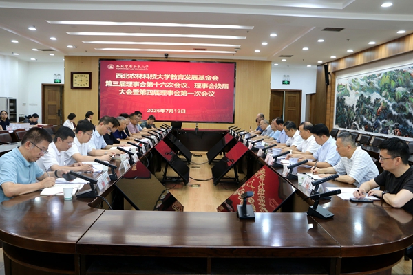 理事会会议_副本.jpg