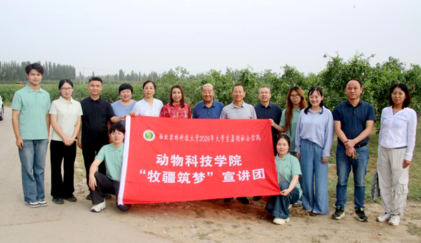 图片9_副本.png