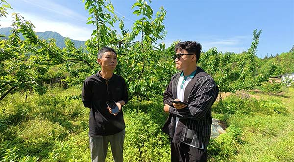 未标题-1.jpg