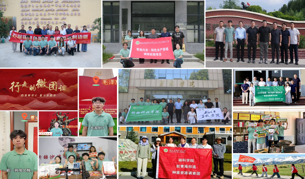 图片(组图).png