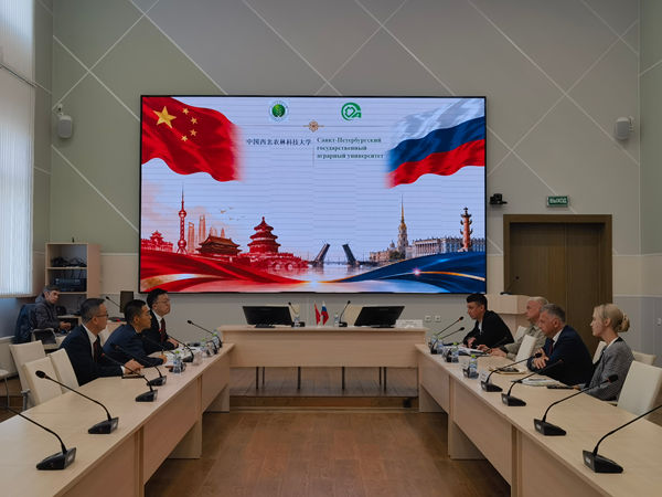微信图片_20260821153609_515_1261_副本.jpg