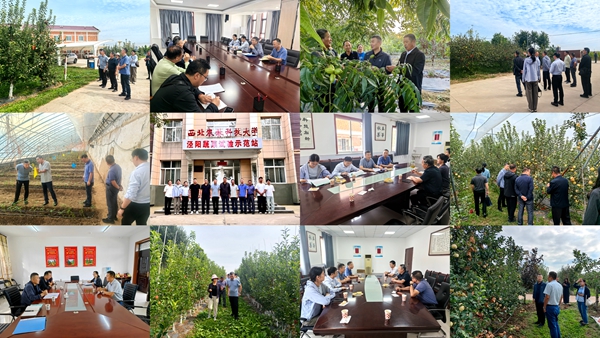 组图_副本.jpg