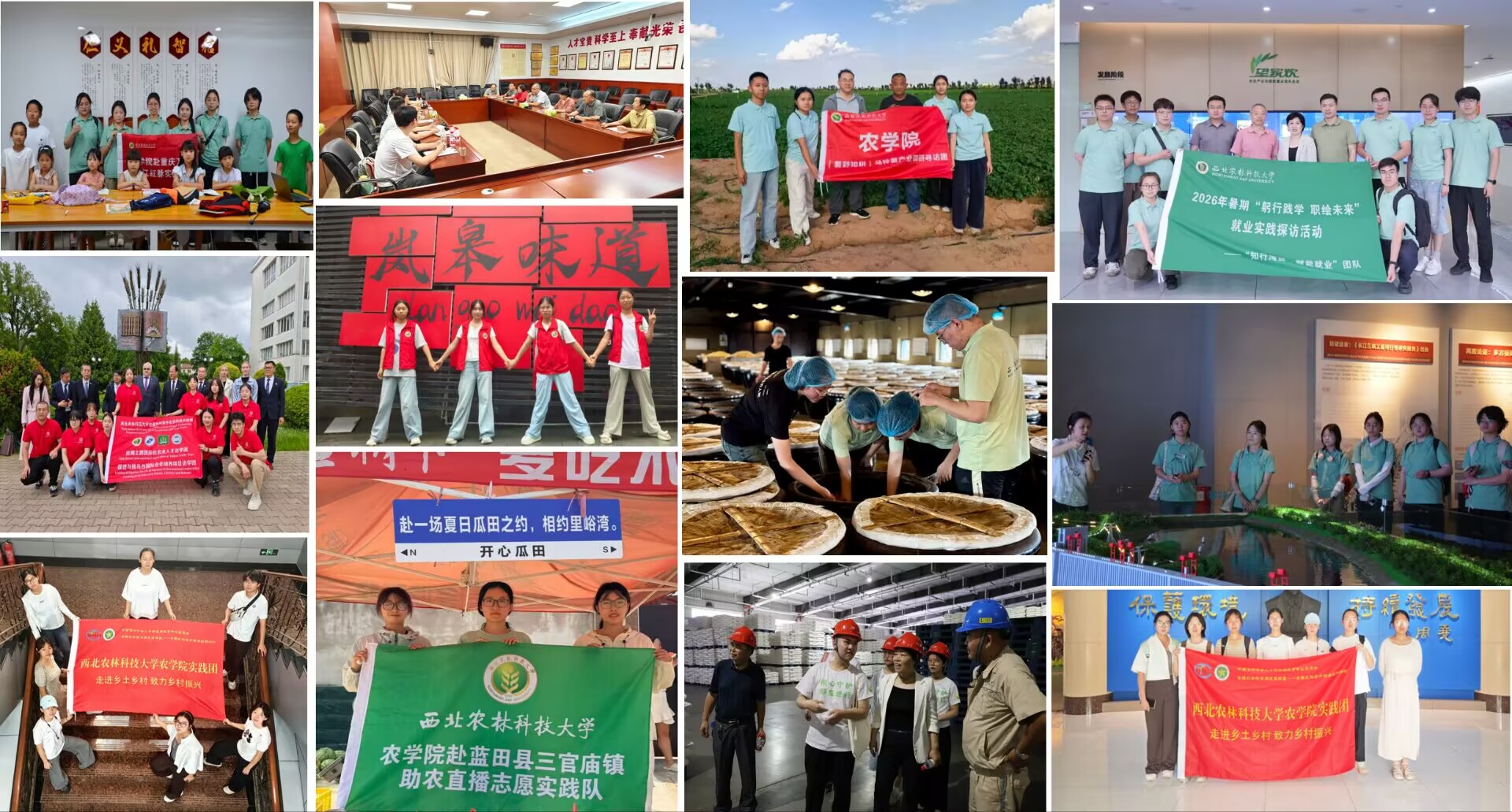 组图.jpg