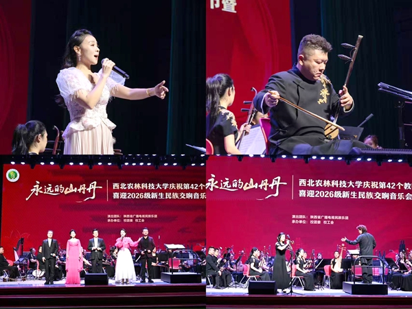 演出精彩片段-拼图_副本.jpg