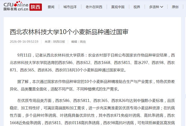 3bef41c136089b5ef395f0131e44e6d3_副本.png