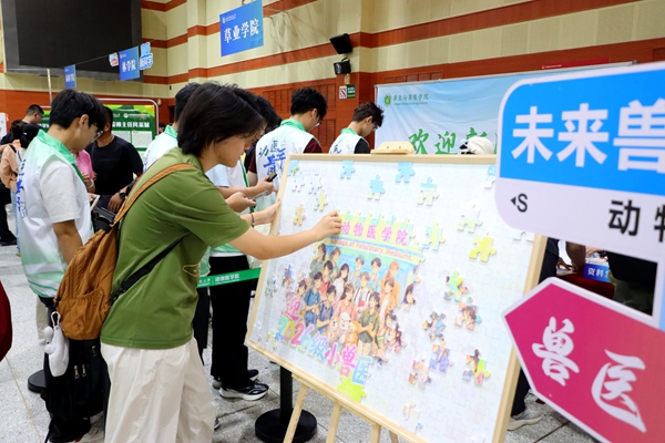 现场拼图_副本.jpg