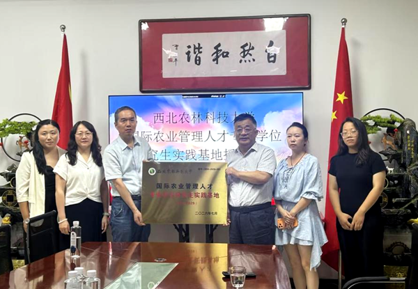 图片1_副本.png