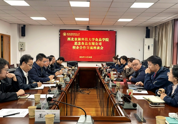 交流座谈会_副本.jpg