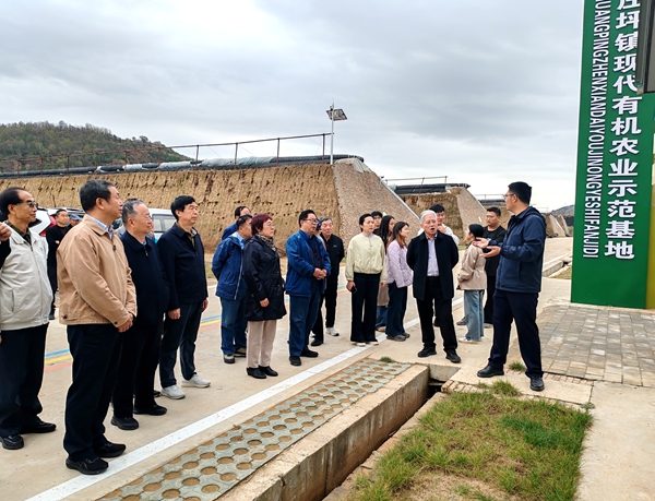 在河庄坪现代有机农业示范基地_副本.jpg