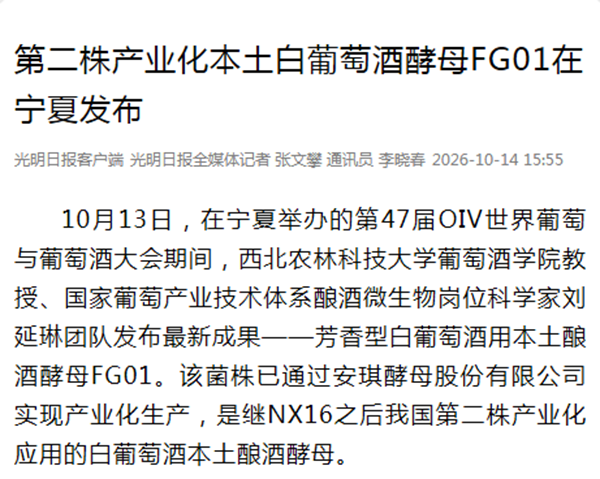 66d42c90c71b1da88bc8fa2ee1ab05d1_副本.png