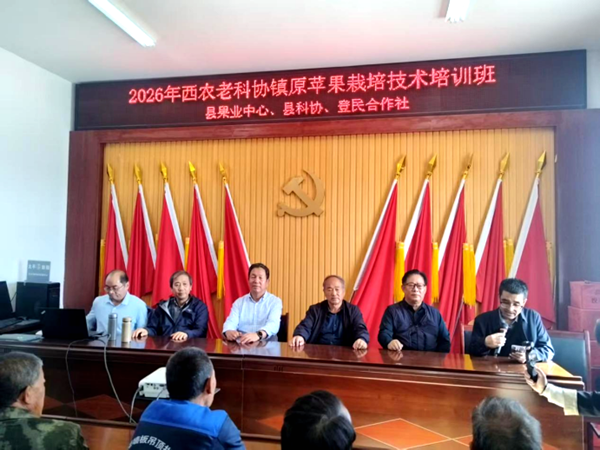 图片1_副本.png