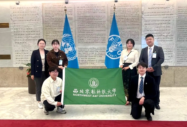 69D1B4E031CD4E4FDC9D25E25B8_0A7BDC34_10FDFE_副本.jpg